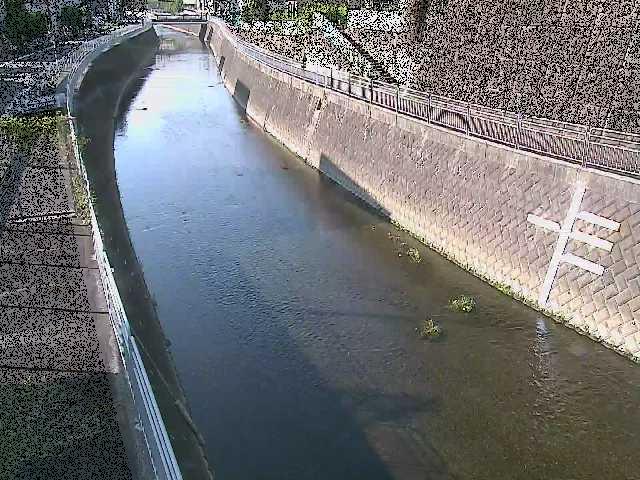 蓼川 上土棚新橋付近のカメラ画像