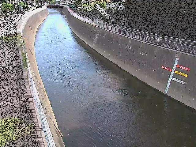 蓼川 上土棚新橋付近のカメラ画像