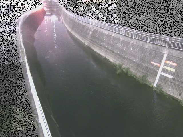 蓼川 上土棚新橋付近のカメラ画像