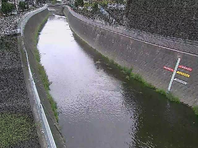 蓼川 上土棚新橋付近のカメラ画像