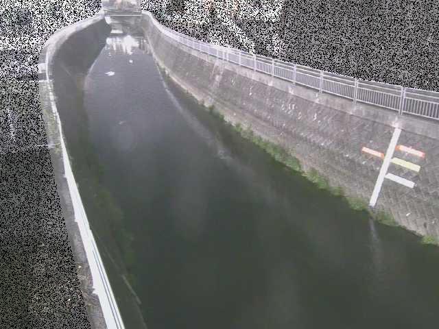 蓼川 上土棚新橋付近のカメラ画像