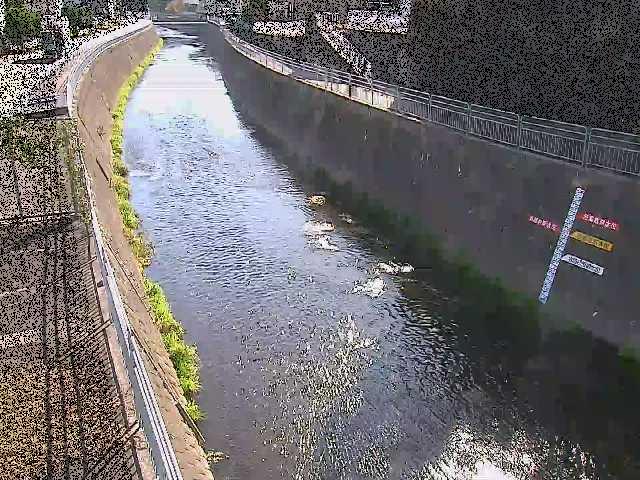 蓼川 上土棚新橋付近のカメラ画像
