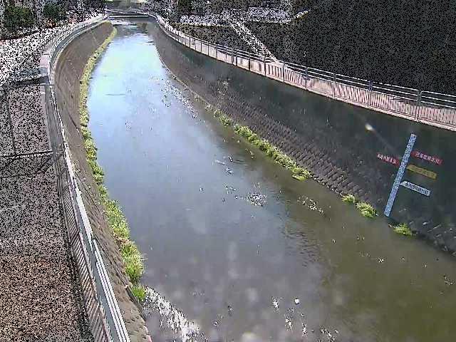 蓼川 上土棚新橋付近のカメラ画像