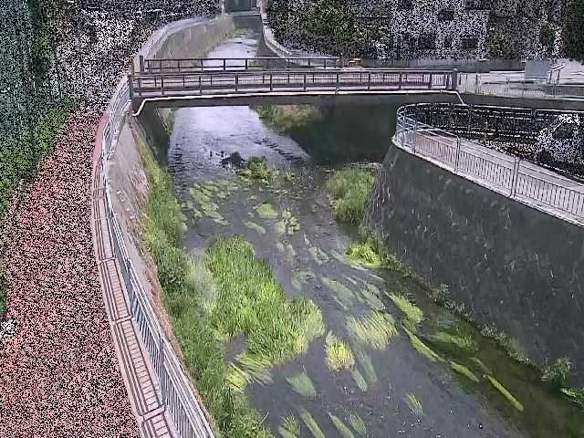 松山橋付近のカメラ画像