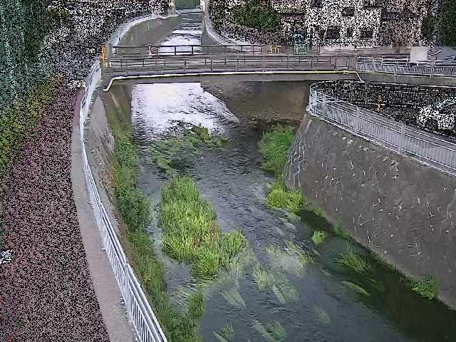 蓼川 松山橋付近のカメラ画像
