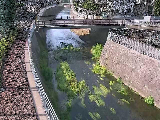 松山橋付近のカメラ画像