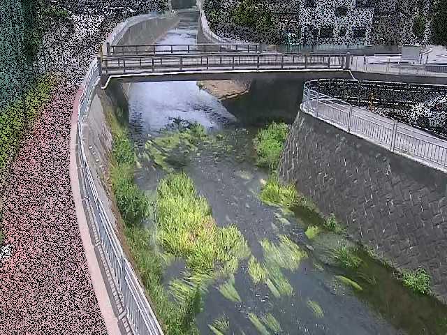 松山橋付近のカメラ画像
