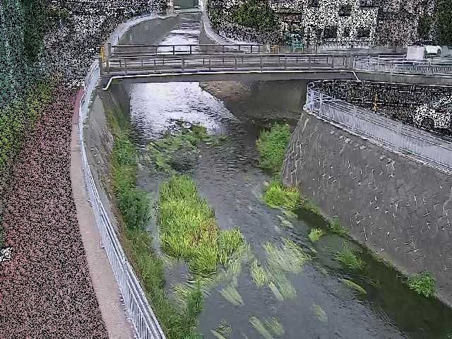 蓼川 松山橋付近のカメラ画像
