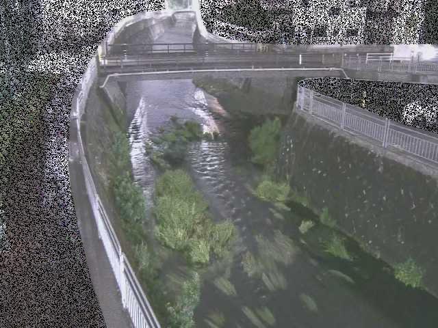 松山橋付近のカメラ画像