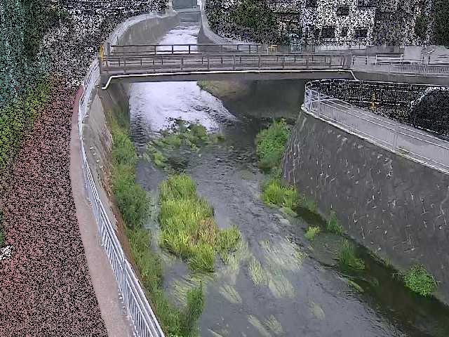 蓼川 松山橋付近のカメラ画像