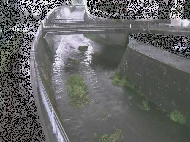 松山橋付近のカメラ画像