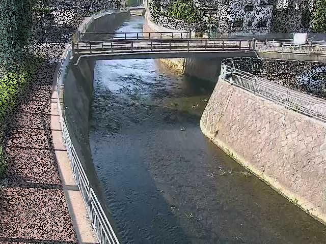 蓼川 松山橋付近のカメラ画像