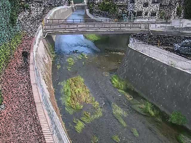 蓼川 松山橋付近のカメラ画像