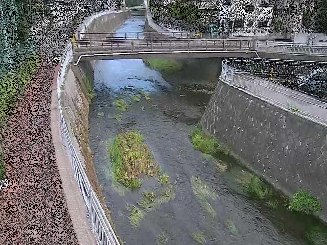 松山橋付近のカメラ画像