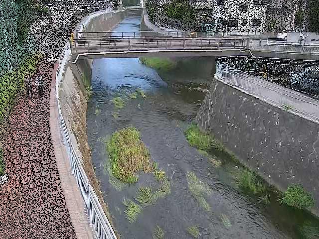 松山橋付近のカメラ画像