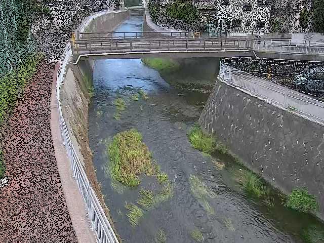 松山橋付近のカメラ画像