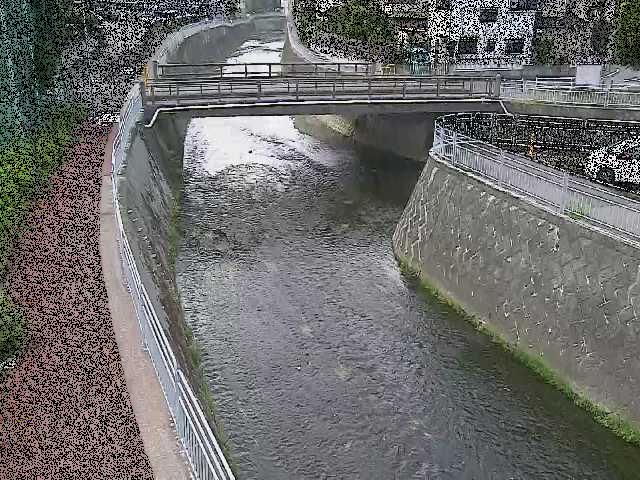松山橋付近のカメラ画像