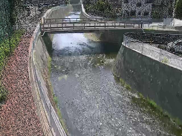 松山橋付近のカメラ画像