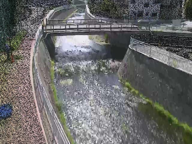 松山橋付近のカメラ画像
