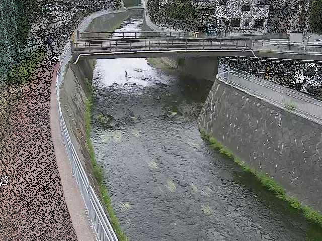 蓼川 松山橋付近のカメラ画像