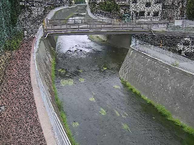 松山橋付近のカメラ画像