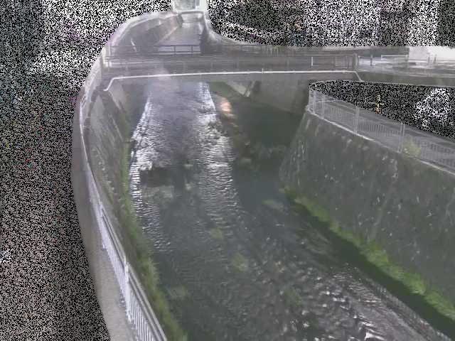 松山橋付近のカメラ画像