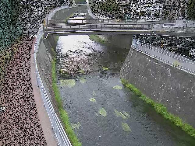 松山橋付近のカメラ画像