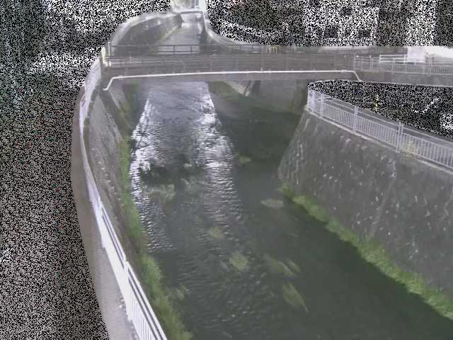 蓼川 松山橋付近のカメラ画像