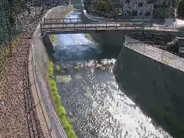蓼川 松山橋付近のカメラ画像