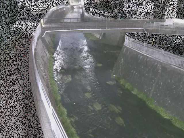 松山橋付近のカメラ画像