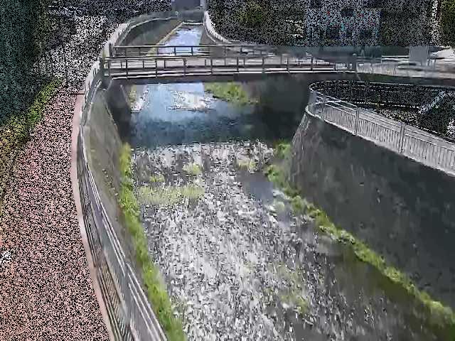 蓼川 松山橋付近のカメラ画像