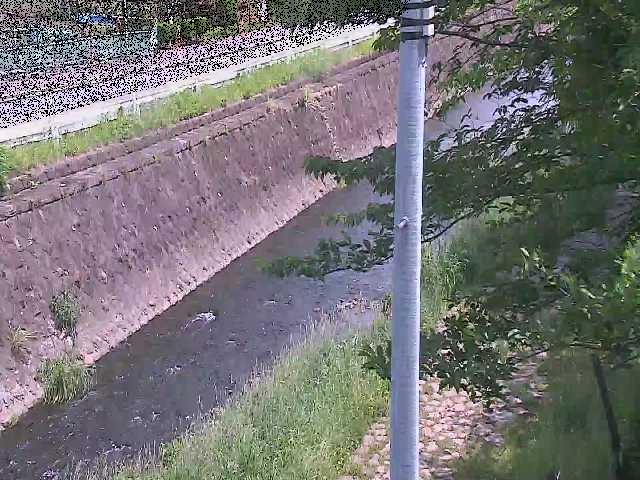 新産川橋付近のカメラ画像