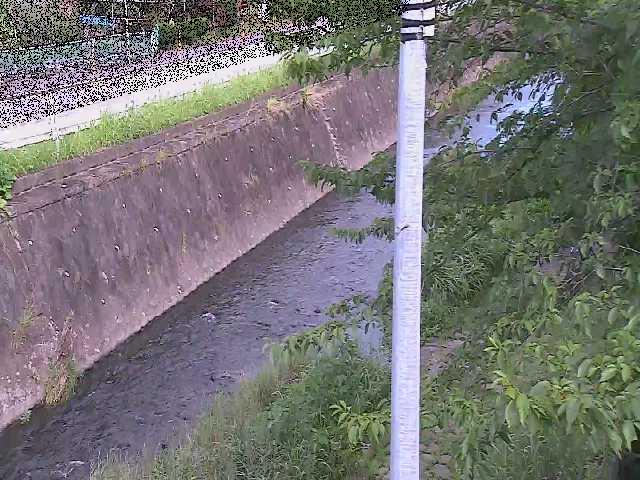新産川橋付近のカメラ画像