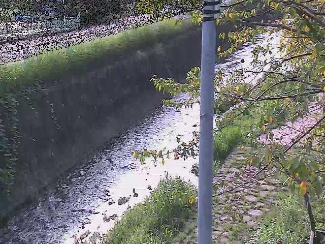 新産川橋付近のカメラ画像