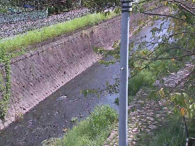 新産川橋付近のカメラ画像