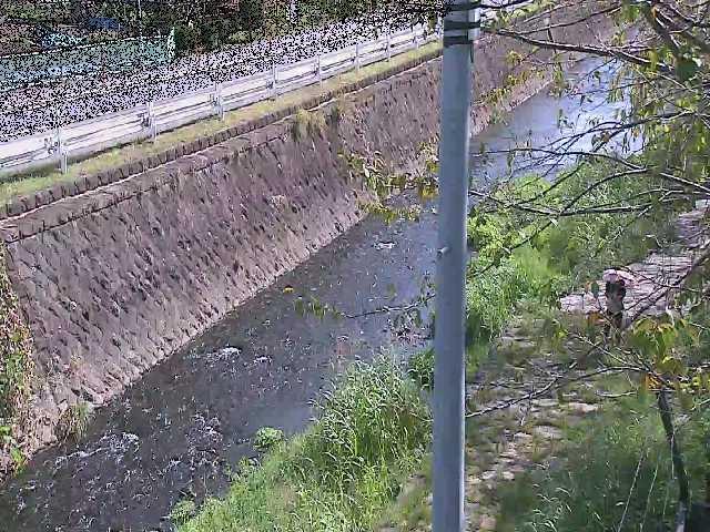 新産川橋付近のカメラ画像