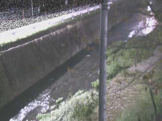 新産川橋付近のカメラ画像