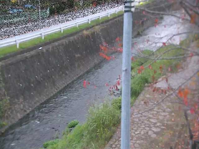 新産川橋付近のカメラ画像