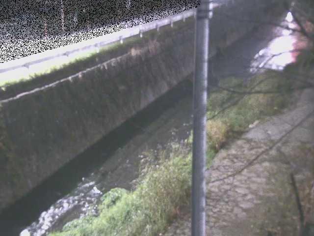 新産川橋付近のカメラ画像