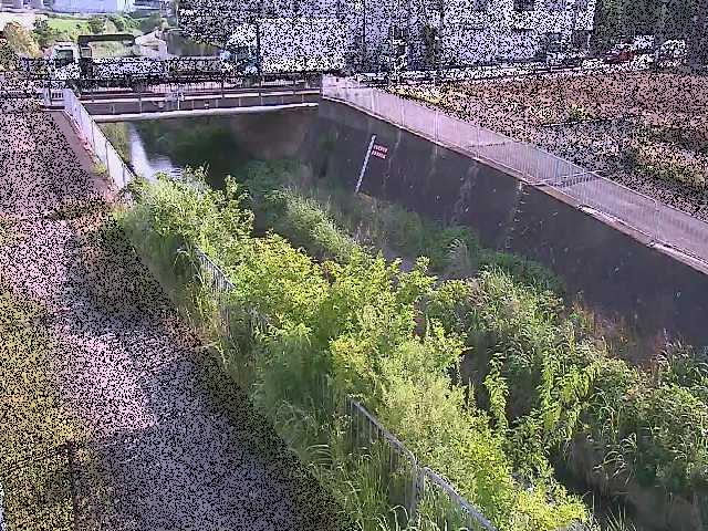 永池橋付近のカメラ画像