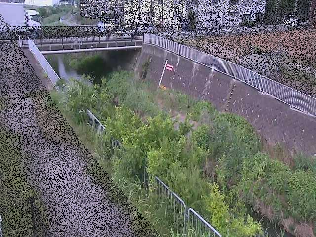 永池川 永池橋付近のカメラ画像