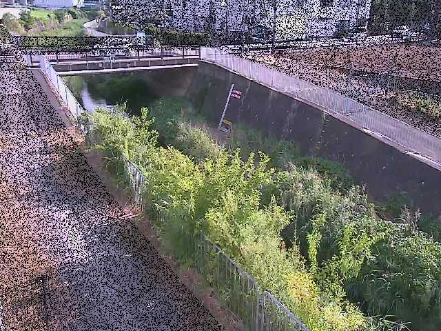 永池川 永池橋付近のカメラ画像