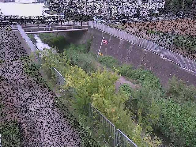 永池橋付近のカメラ画像