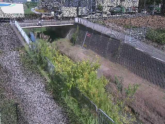 永池橋付近のカメラ画像