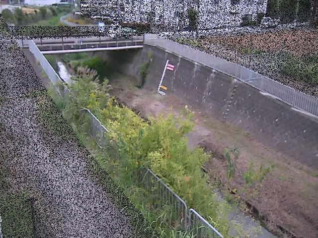 永池橋付近のカメラ画像