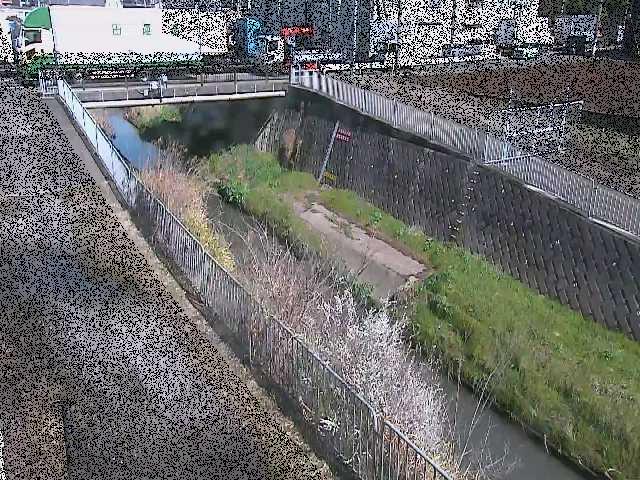 永池川 永池橋付近のカメラ画像