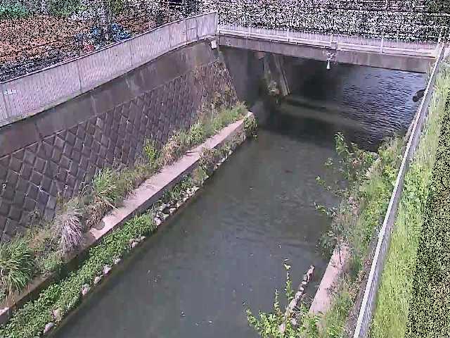 吉野橋付近のカメラ画像