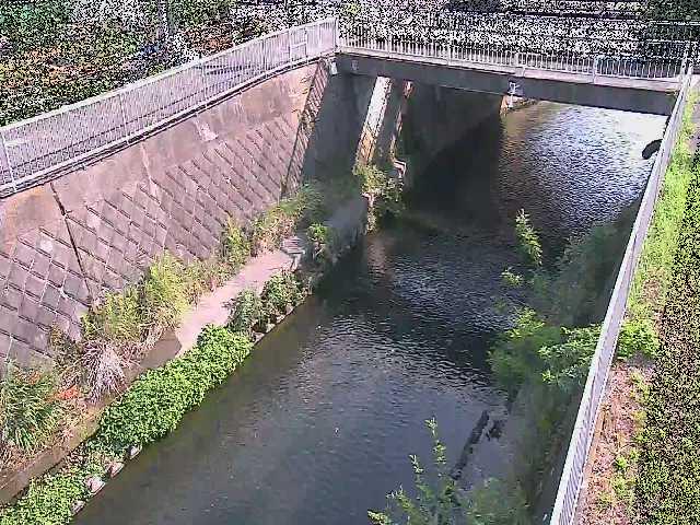 吉野橋付近のカメラ画像