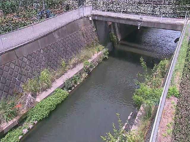 吉野橋付近のカメラ画像