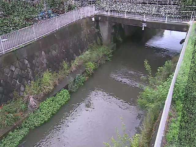 吉野橋付近のカメラ画像